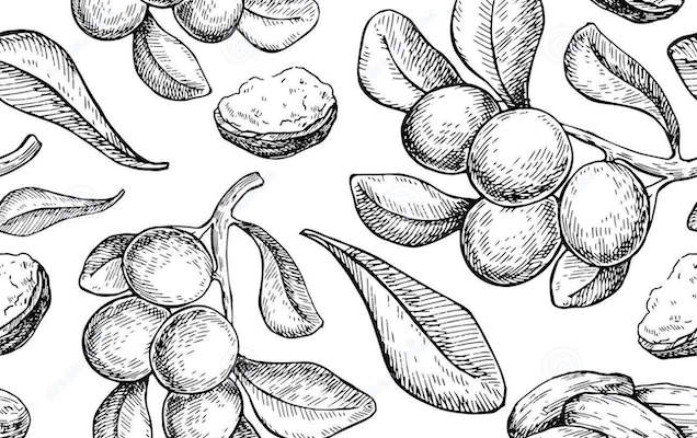 La chantilly de karité