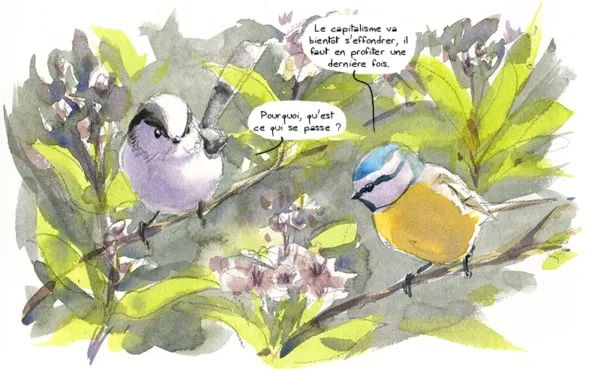 Retour d&rsquo;une expérience d&rsquo;arpentage